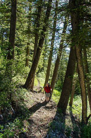 Backpacking trip up Webber Creek trail to Webber Lake.