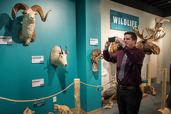 BYU-Idaho worked with the Teton Geotourism Center in Driggs, Idaho, creating a Wildlife and Geology exhibit of pieces from the Biology and Geology museums at BYU-Idaho. A ribbon cutting was held for a