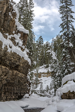 A scenic view off a trail near Big Sky, Montana.