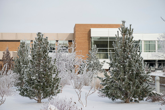 Frost on the campus grounds.