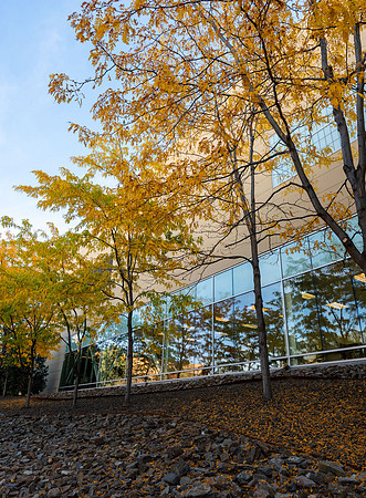 Fall Day - Oct. 2026