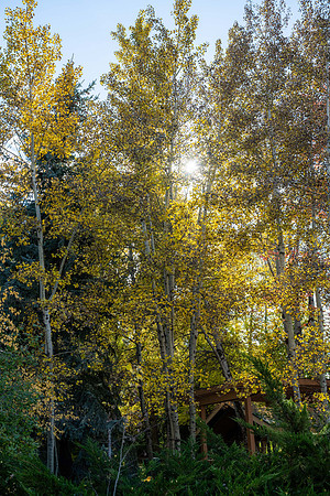 Chill Fall Day - Oct. 2025