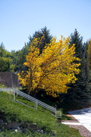 Daily BYUI - Oct 2026