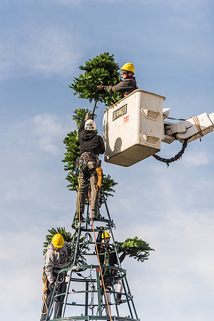 The BYU-Idaho ground keeping crew set up a christmas tree in front of the Taylor chapel. Fall Semester.