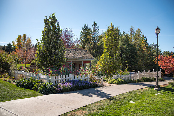 Autumn Colors on Campus -Oct 2016