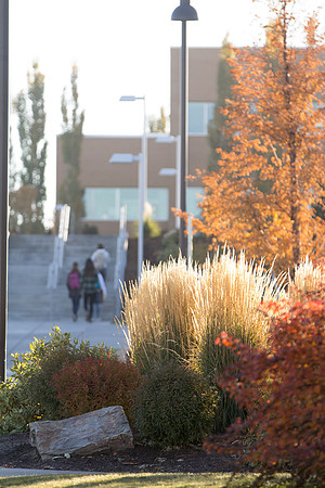 Scenes of fall on campus.