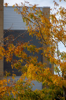 Campus Fall - Oct 2026