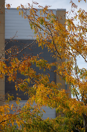 Campus Fall - Oct 2026