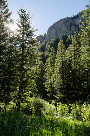 Backpacking trip up Webber Creek trail to Webber Lake.