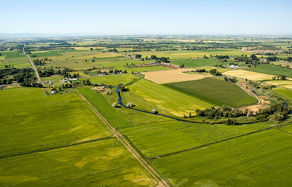 Fertile Fields
