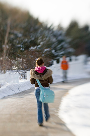 Winter beauty in the Thomas E Ricks Gardens. Images shot with a Lens Baby.
