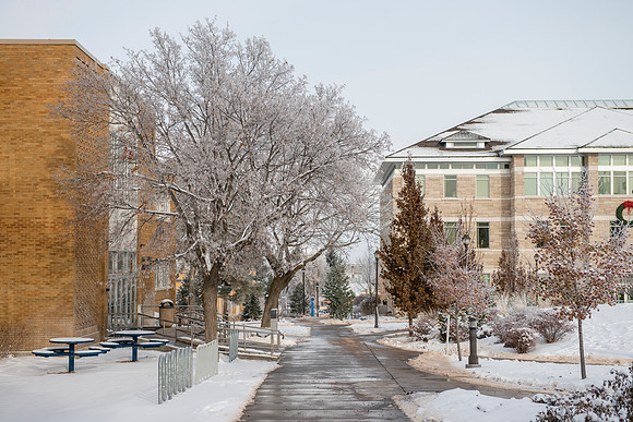 Frost on the campus grounds.