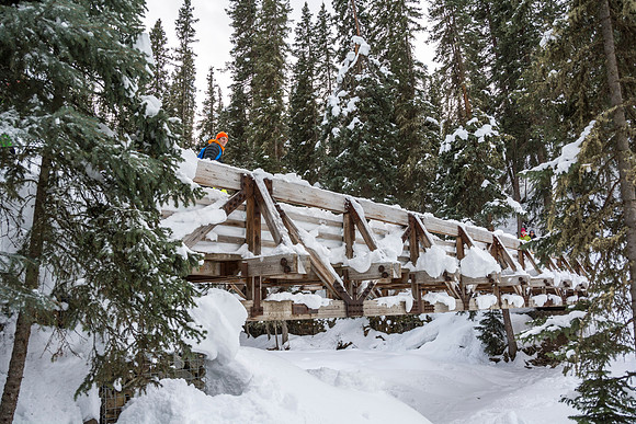 Eric Ward, a mechanical engineering major, goes hiking to take a break from ice climbing.