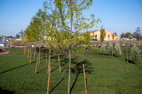 Teton River Temple Landscaping - Sept 2026
