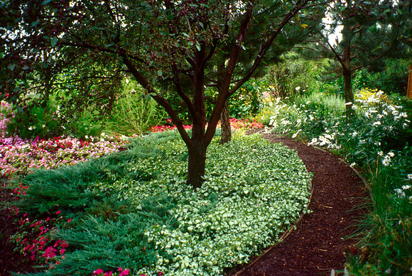 A section of the Gardens