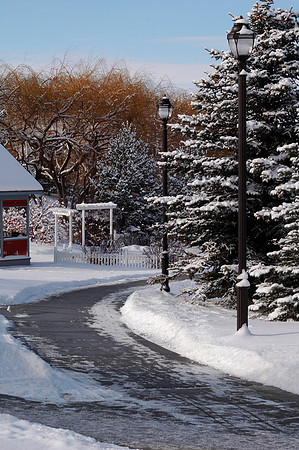 Winter beauty in the Thomas E Ricks Gardens.