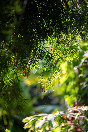 Fall Sunny Day - Sept. 2026