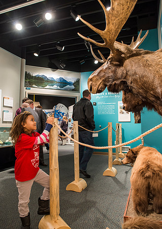 BYU-Idaho worked with the Teton Geotourism Center in Driggs, Idaho, creating a Wildlife and Geology exhibit of pieces from the Biology and Geology museums at BYU-Idaho. A ribbon cutting was held for a