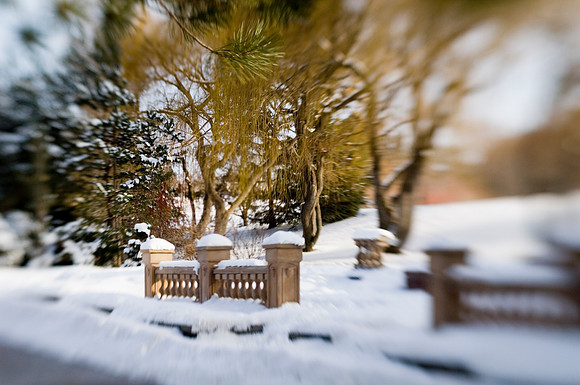 Winter beauty in the Thomas E Ricks Gardens. Images shot with a Lens Baby.