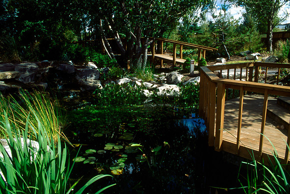 A view of the pond with the walkways built over it.