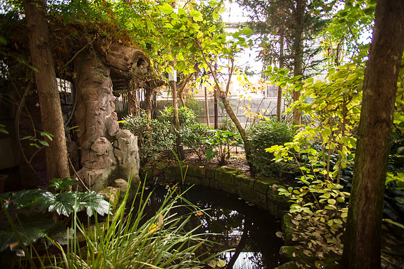 All sorts of plants within the Benson Building.