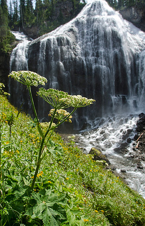 Union Falls Hike: A 17 mile hike round trip and you cross the river 4 times each way.  A very rewarding hike with a beautiful view of Union Falls. Then the real joy is to jump into Ouzel Pool which is