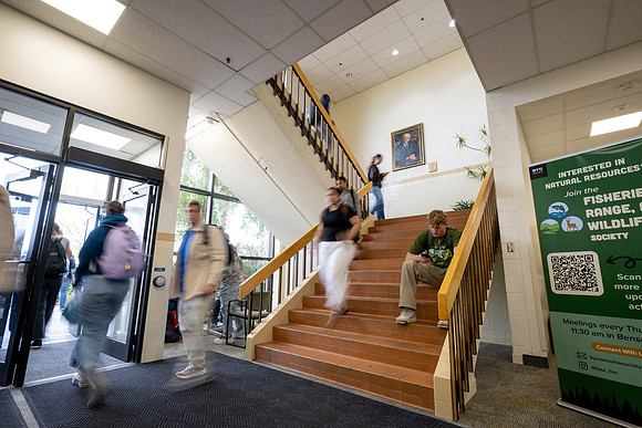 Benson Northwest staircase - Setp 2026