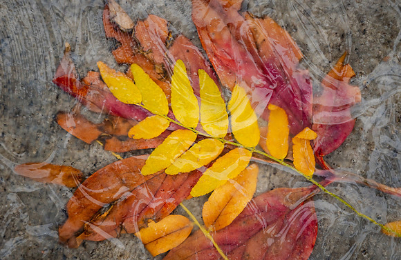 Glass Photo Painting - Oct 2026