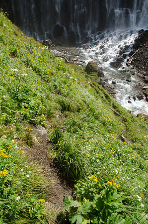 Union Falls Hike: A 17 mile hike round trip and you cross the river 4 times each way.  A very rewarding hike with a beautiful view of Union Falls. Then the real joy is to jump into Ouzel Pool which is
