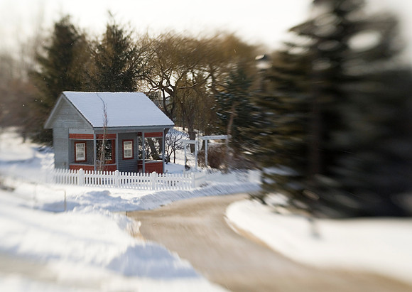 Winter beauty in the Thomas E Ricks Gardens. Images shot with a Lens Baby.
