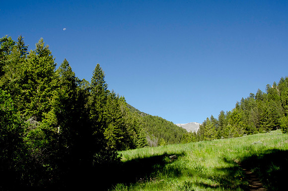 Backpacking trip up Webber Creek trail to Webber Lake.