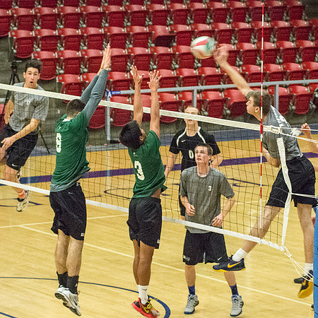 The competition was fierce at the Mens Volleyball Chamionship.
