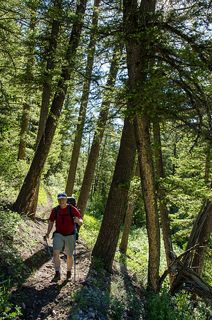 Backpacking trip up Webber Creek trail to Webber Lake.