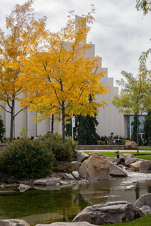 Campus Fall - Oct 2026