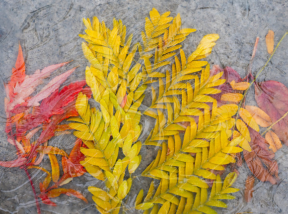 Glass Photo Painting - Oct 2026