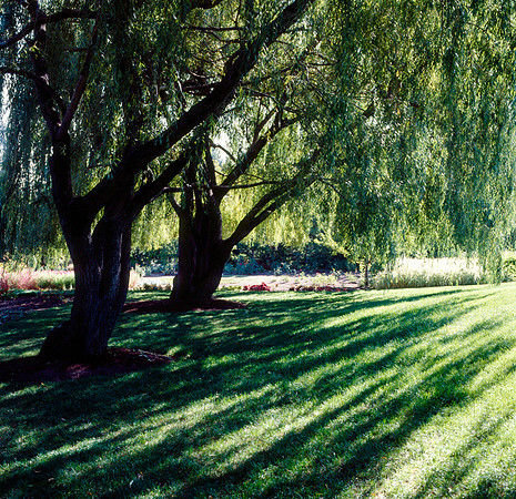 The Campus Gardens