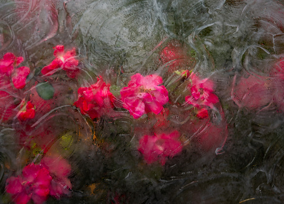 Glass Photo Painting - Oct 2026