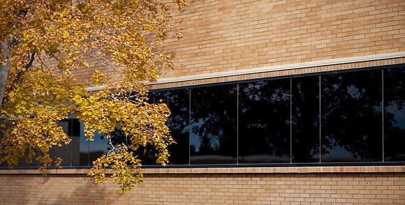 Smith Building Window