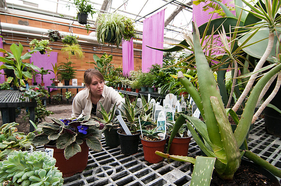 Student Ashlee Wheeler in the plant shop of the Benson Building Greenhouse.