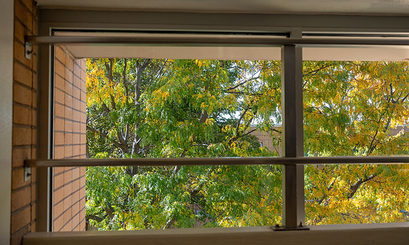 Fall Day - Oct. 2026