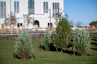 Teton River Temple Landscaping - Sept 2026