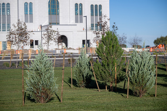 Teton River Temple Landscaping - Sept 2026