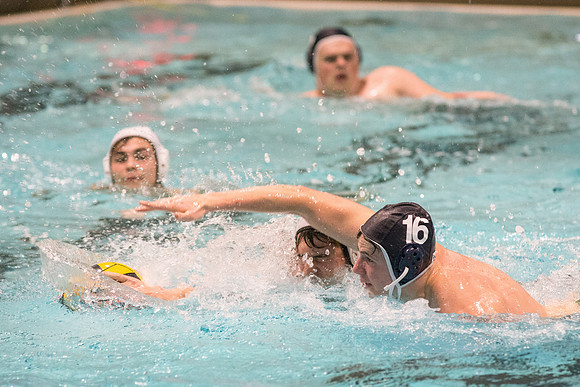 Images of the Mens and Womens competitive Water Polo Championship.
