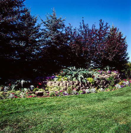 The Campus Gardens