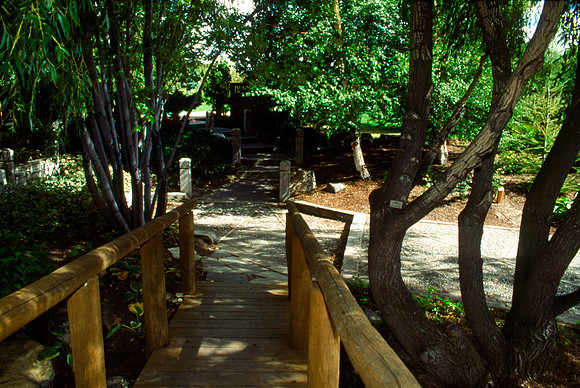 A wooden walkway through the Gardens