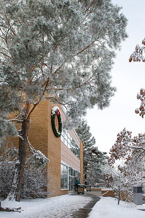 Frost on the campus grounds.