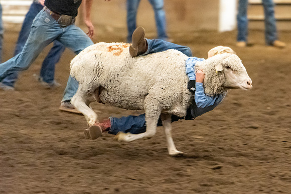 BYU-I Rodeo - Oct 2021