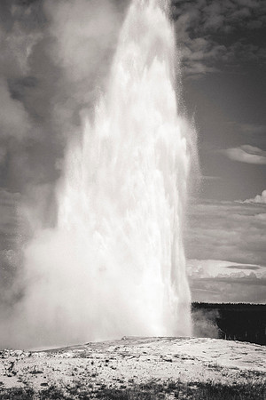 Old Faithful in Yellowstone National Park.