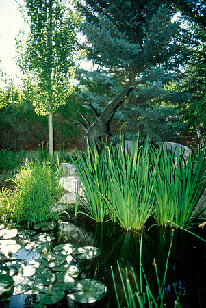 The Swan Statue in the Gardens designed by Gary Price
