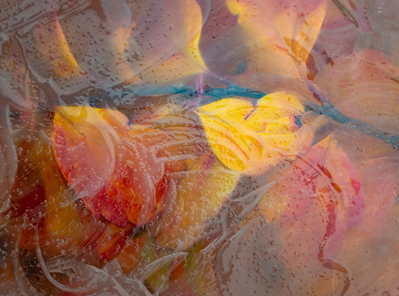 Glass Photo Painting - Oct 2026